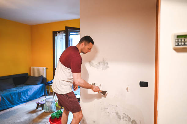 Best Health and Safety Mold Remediation in Fort Payne, AL